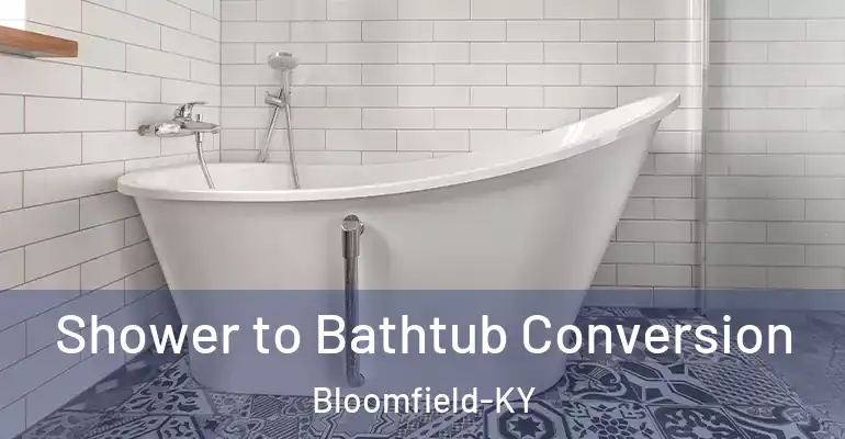inner Bathroom imggen Shower to Bathtub Conversion Bloomfield-KY