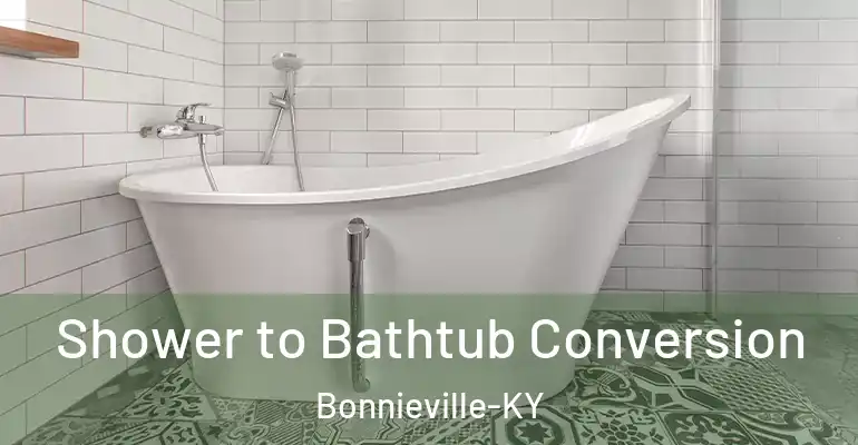 inner Bathroom imggen Shower to Bathtub Conversion Bonnieville-KY
