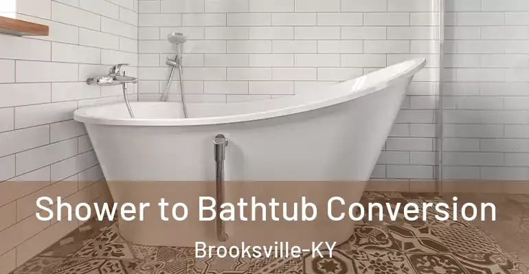 inner Bathroom imggen Shower to Bathtub Conversion Brooksville-KY