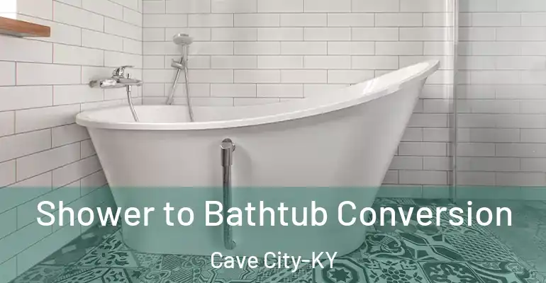 inner Bathroom imggen Shower to Bathtub Conversion Cave City-KY