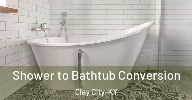 inner Bathroom imggen Shower to Bathtub Conversion Clay City-KY