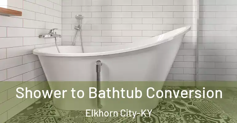 inner Bathroom imggen Shower to Bathtub Conversion Elkhorn City-KY