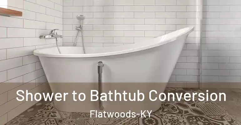 inner Bathroom imggen Shower to Bathtub Conversion Flatwoods-KY