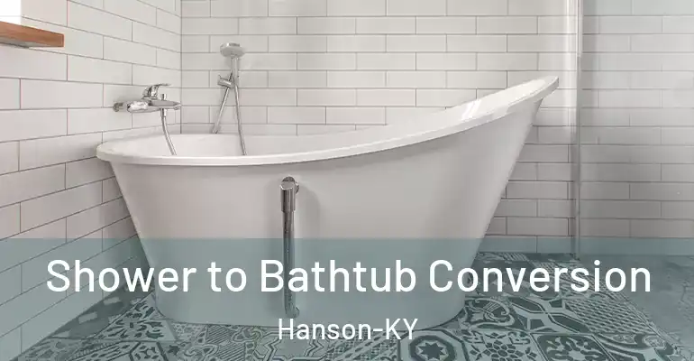 inner Bathroom imggen Shower to Bathtub Conversion Hanson-KY