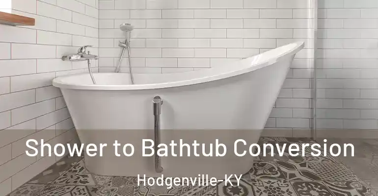 inner Bathroom imggen Shower to Bathtub Conversion Hodgenville-KY