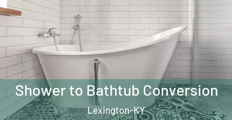 inner Bathroom imggen Shower to Bathtub Conversion Lexington-KY