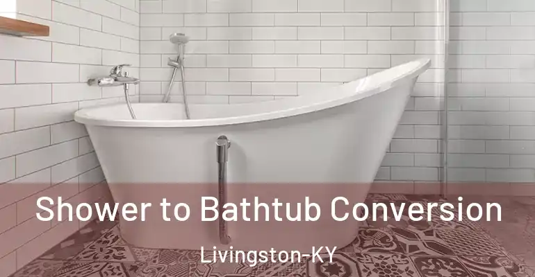 inner Bathroom imggen Shower to Bathtub Conversion Livingston-KY