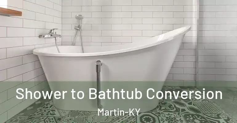 inner Bathroom imggen Shower to Bathtub Conversion Martin-KY