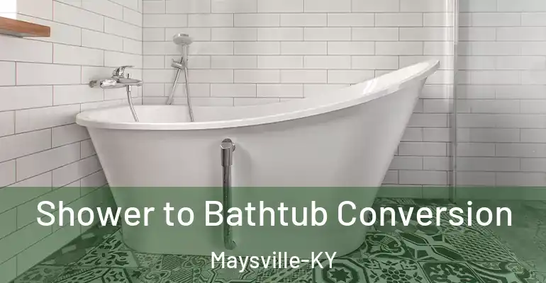inner Bathroom imggen Shower to Bathtub Conversion Maysville-KY