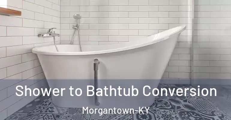 inner Bathroom imggen Shower to Bathtub Conversion Morgantown-KY