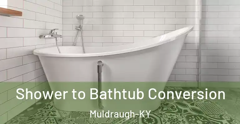 inner Bathroom imggen Shower to Bathtub Conversion Muldraugh-KY