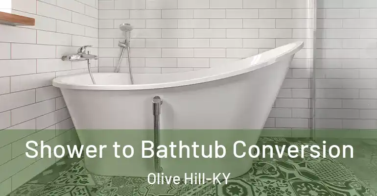 inner Bathroom imggen Shower to Bathtub Conversion Olive Hill-KY