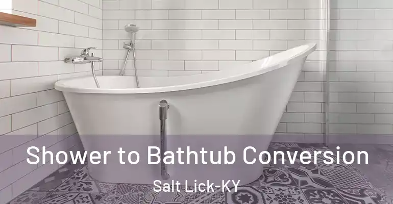 inner Bathroom imggen Shower to Bathtub Conversion Salt Lick-KY
