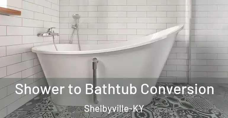 inner Bathroom imggen Shower to Bathtub Conversion Shelbyville-KY
