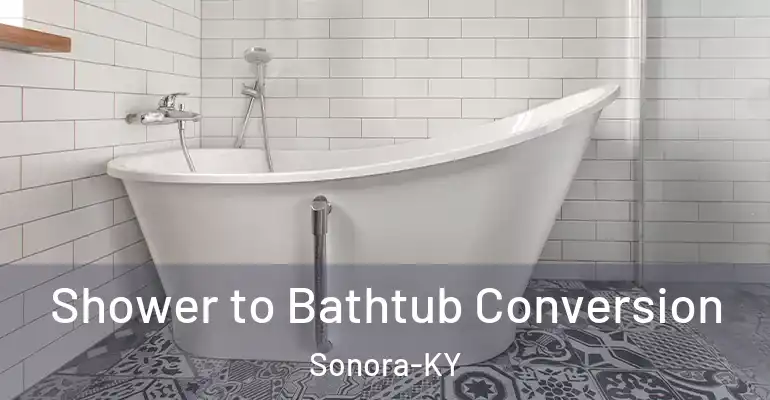 inner Bathroom imggen Shower to Bathtub Conversion Sonora-KY