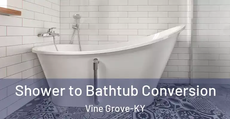 inner Bathroom imggen Shower to Bathtub Conversion Vine Grove-KY