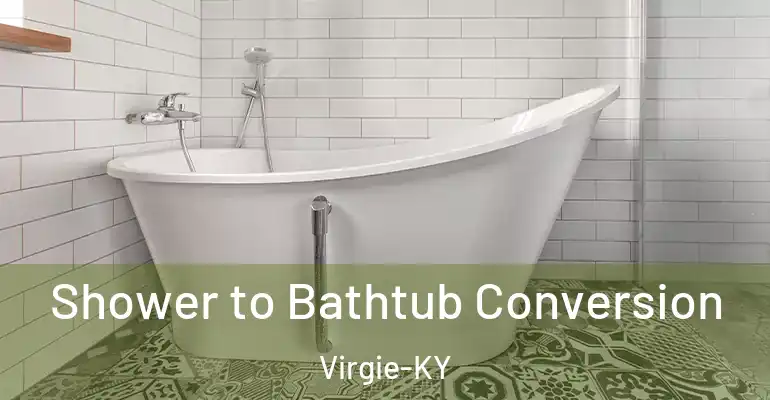 inner Bathroom imggen Shower to Bathtub Conversion Virgie-KY