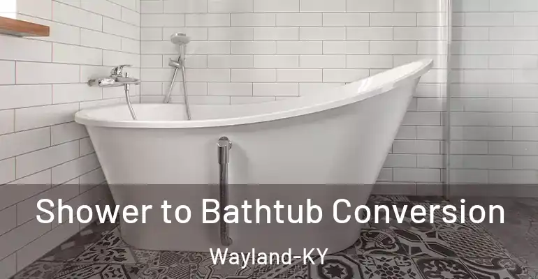 inner Bathroom imggen Shower to Bathtub Conversion Wayland-KY