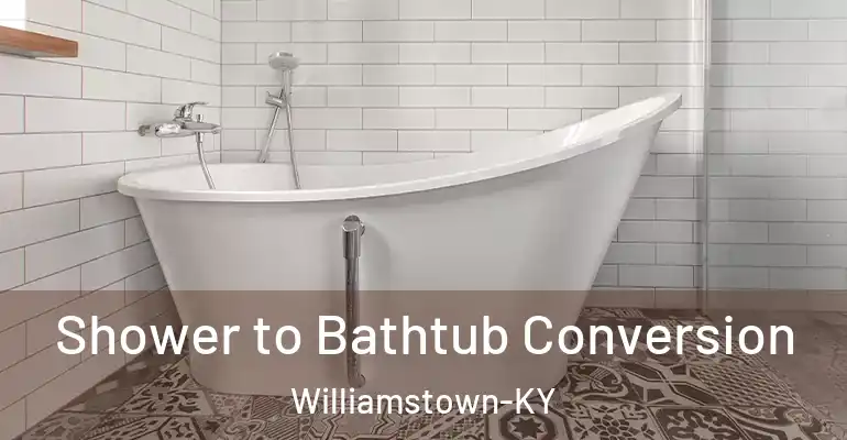 inner Bathroom imggen Shower to Bathtub Conversion Williamstown-KY