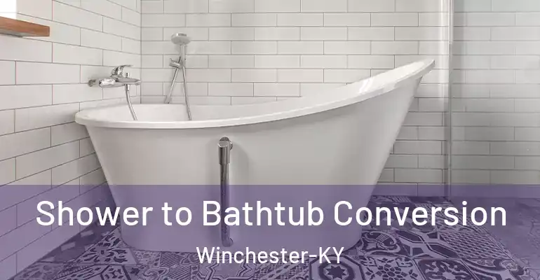 inner Bathroom imggen Shower to Bathtub Conversion Winchester-KY