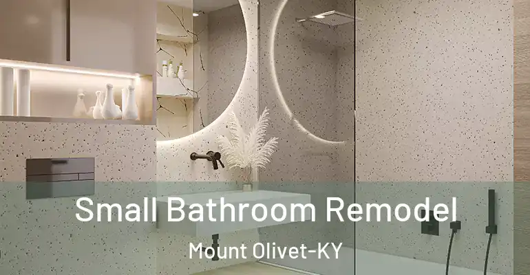 inner Bathroom imggen Small Bathroom Remodel Mount Olivet-KY