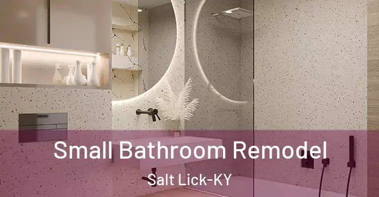 inner Bathroom imggen Small Bathroom Remodel Salt Lick-KY