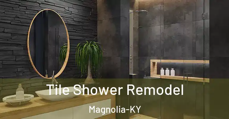 inner Bathroom imggen Tile Shower Remodel Magnolia-KY