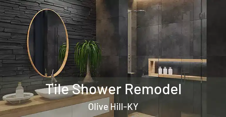 inner Bathroom imggen Tile Shower Remodel Olive Hill-KY
