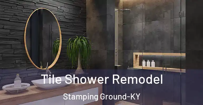 inner Bathroom imggen Tile Shower Remodel Stamping Ground-KY