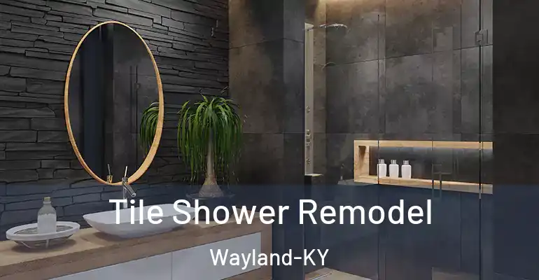 inner Bathroom imggen Tile Shower Remodel Wayland-KY