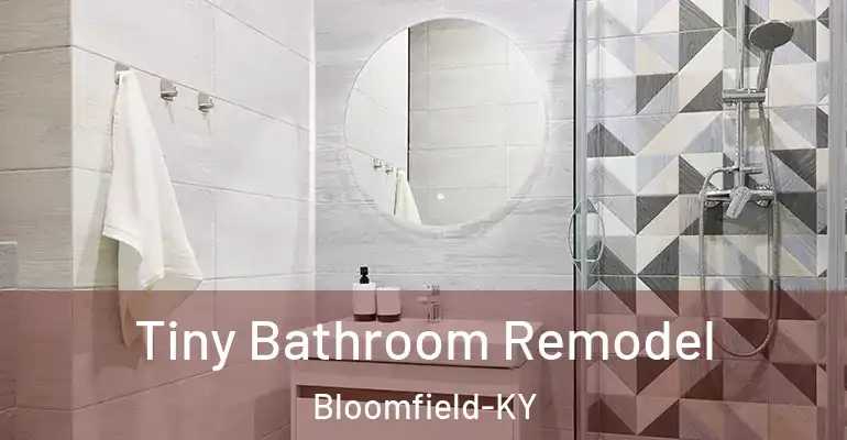inner Bathroom imggen Tiny Bathroom Remodel Bloomfield-KY