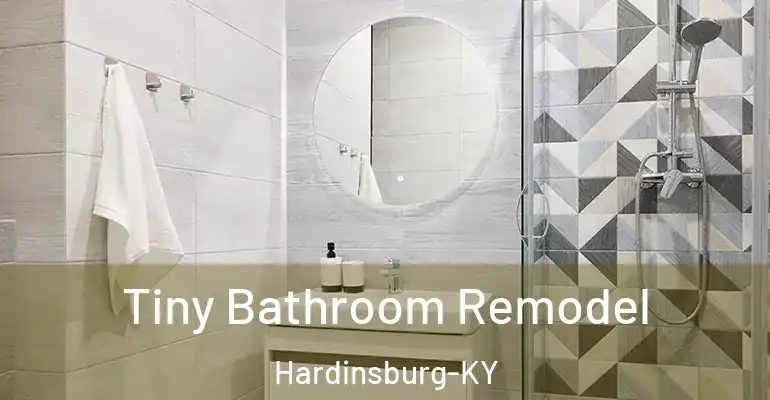 inner Bathroom imggen Tiny Bathroom Remodel Hardinsburg-KY