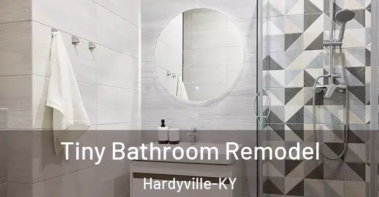 inner Bathroom imggen Tiny Bathroom Remodel Hardyville-KY
