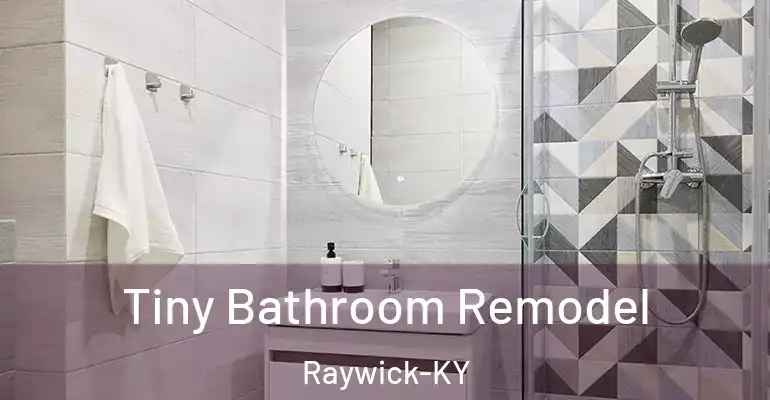 inner Bathroom imggen Tiny Bathroom Remodel Raywick-KY