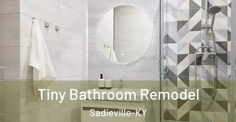 inner Bathroom imggen Tiny Bathroom Remodel Sadieville-KY