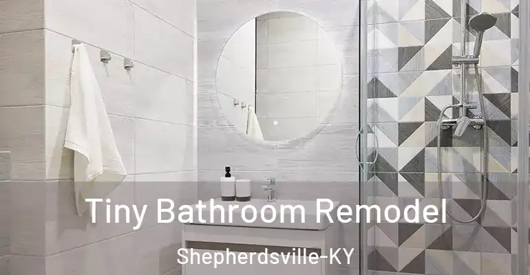 inner Bathroom imggen Tiny Bathroom Remodel Shepherdsville-KY