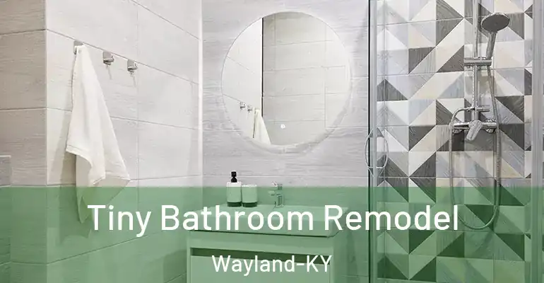inner Bathroom imggen Tiny Bathroom Remodel Wayland-KY