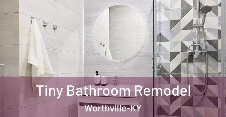 inner Bathroom imggen Tiny Bathroom Remodel Worthville-KY