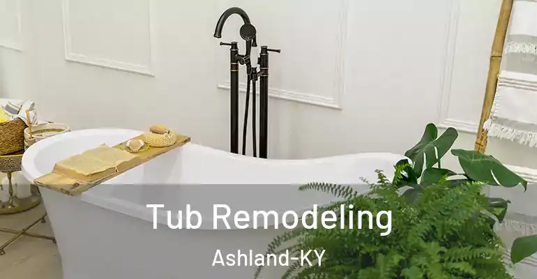 inner Bathroom imggen Tub Remodeling Ashland-KY