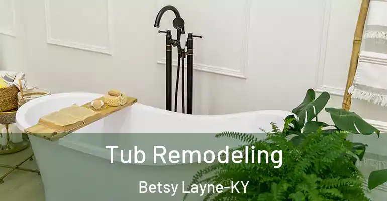 inner Bathroom imggen Tub Remodeling Betsy Layne-KY