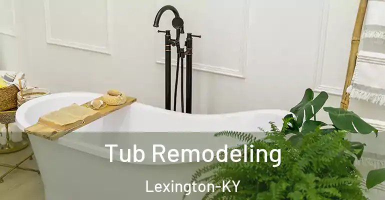 inner Bathroom imggen Tub Remodeling Lexington-KY
