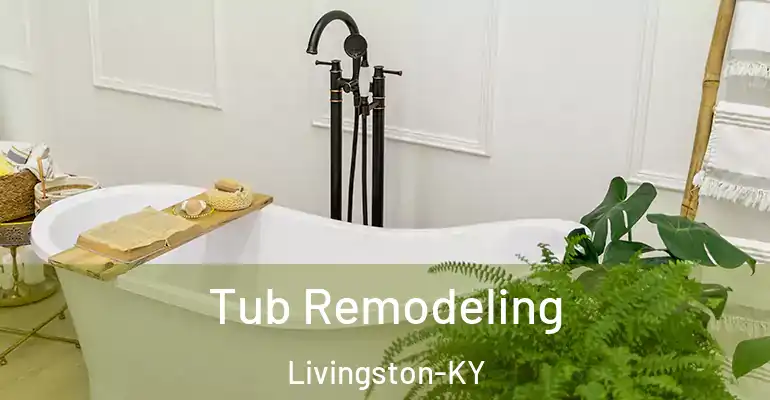 inner Bathroom imggen Tub Remodeling Livingston-KY