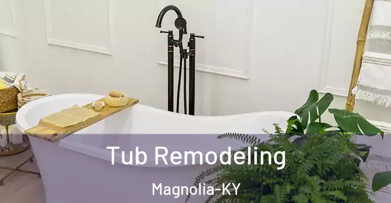inner Bathroom imggen Tub Remodeling Magnolia-KY
