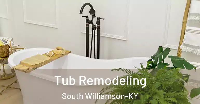 inner Bathroom imggen Tub Remodeling South Williamson-KY