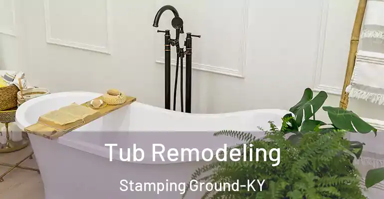 inner Bathroom imggen Tub Remodeling Stamping Ground-KY
