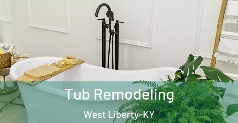 inner Bathroom imggen Tub Remodeling West Liberty-KY
