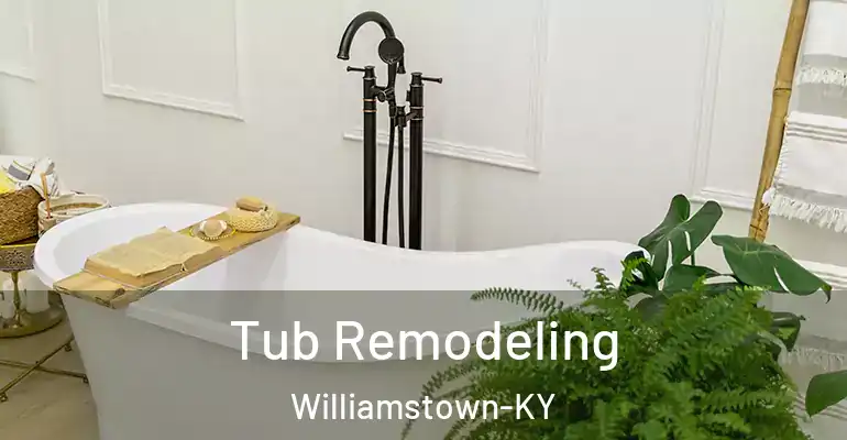 inner Bathroom imggen Tub Remodeling Williamstown-KY