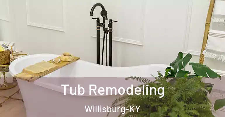 inner Bathroom imggen Tub Remodeling Willisburg-KY