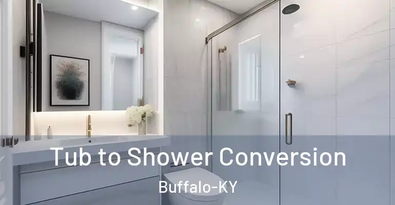 inner Bathroom imggen Tub to Shower Conversion Buffalo-KY