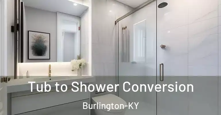 inner Bathroom imggen Tub to Shower Conversion Burlington-KY